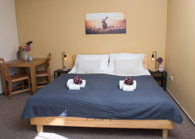 Ubytování, pokoj Wellness Hotel Valnovka