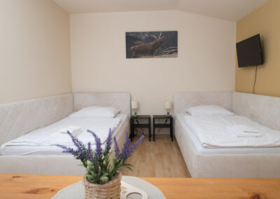 Ubytování, pokoj Wellness Hotel Valnovka