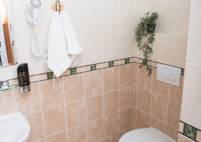 Ubytování, pokoj Wellness Hotel Valnovka